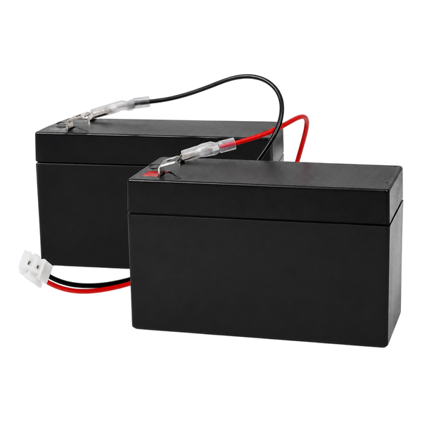 Kit 2 Batteries de Secours SCS Sentinel BatteryGate 1-3 pour Portail